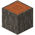 Acacia Log