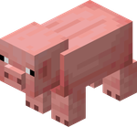 Pig