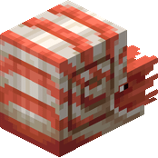 Nautilus