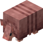 Armadillo